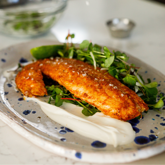 Cooked and seasoned salmon on plate with micro greens