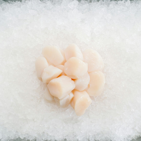Scallops on ice